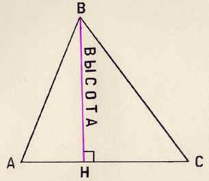 Высота рисунок. Высота треугольника чертеж. Высота треугольника рисунок. Вершина треугольника чертеж. Высота треугольника геометрия рисунок.