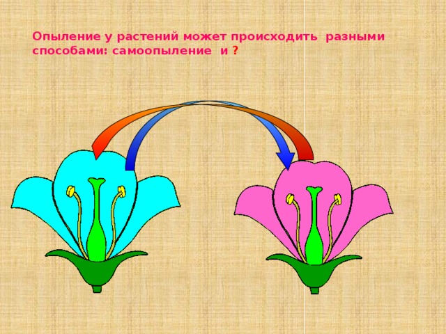 Опыление цветка