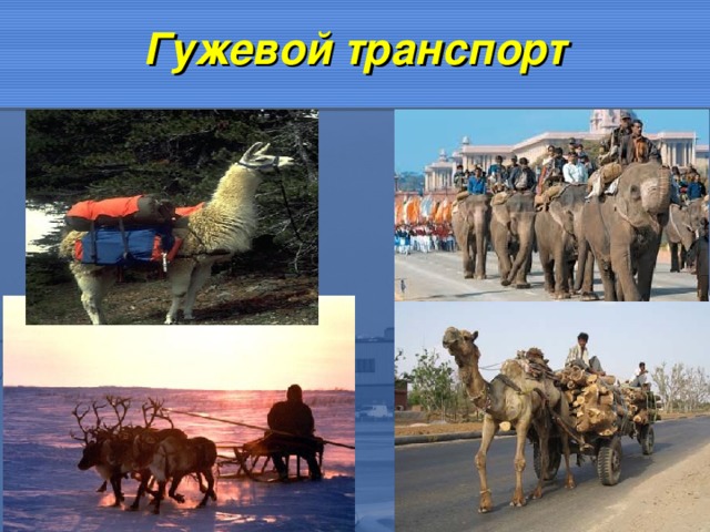 Гужевой транспорт