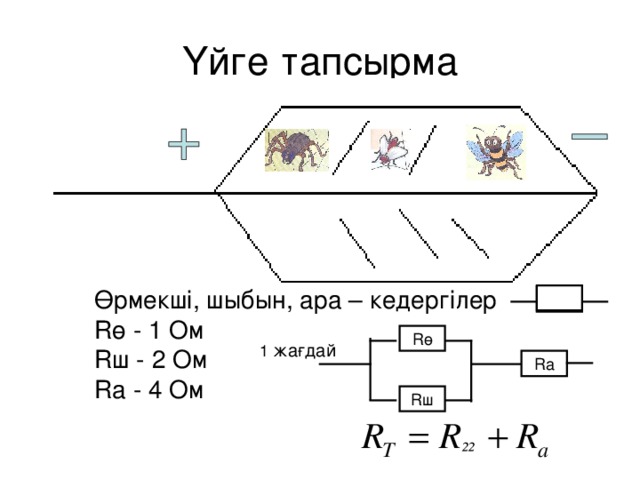 Үйге тапсырма Өрмекші, шыбын, ара – кедергілер R ө - 1 Ом R ш - 2 Ом R а - 4 Ом R ө 1 жағдай R а R ш