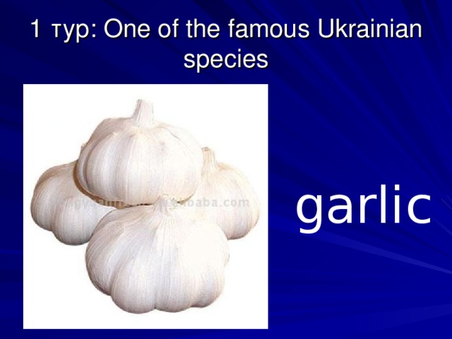 1 тур: One of the famous Ukrainian species garlic