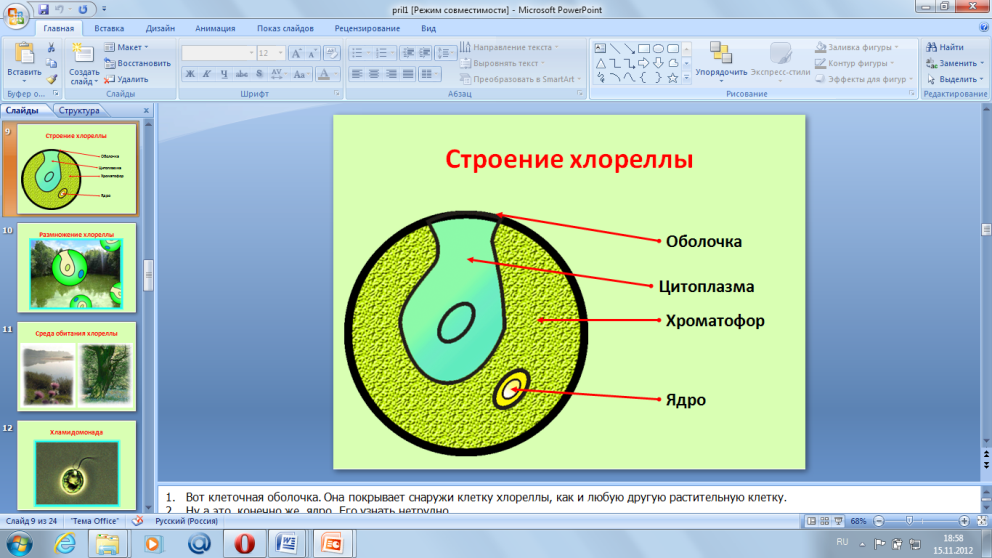 Основные элементы строения хлореллы и их функции. Хлорелла строение клетки. хлорелла строение. структура клетки хлореллы. хлорелла строение и функции.