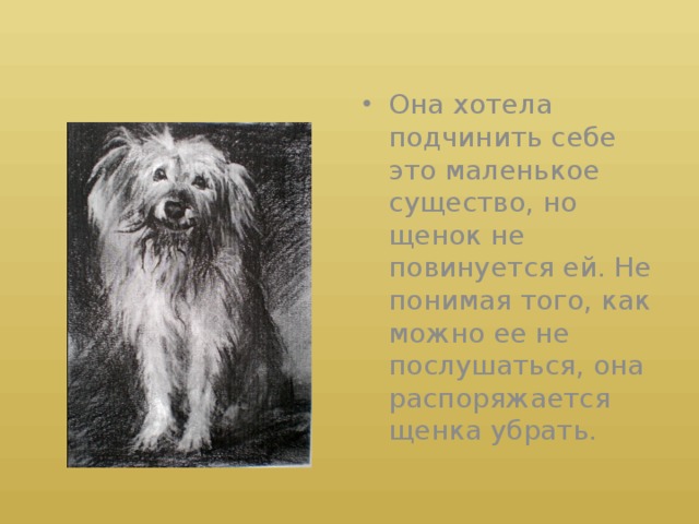 Муму тургенев собачка. Муму порода собаки тургенев. Испанская порода собак муму. Какая была собака муму. Какая была собака муму.