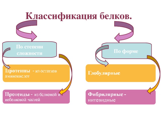 Белки классификация. Схема классификации белков. Классификация белков по степени сложности. Классификация белков по сложности.