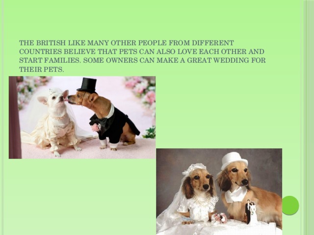 The british like many. British and their Pets. Pets in great Britain. The British and their Pets презентация 6 класс. British like Pets.