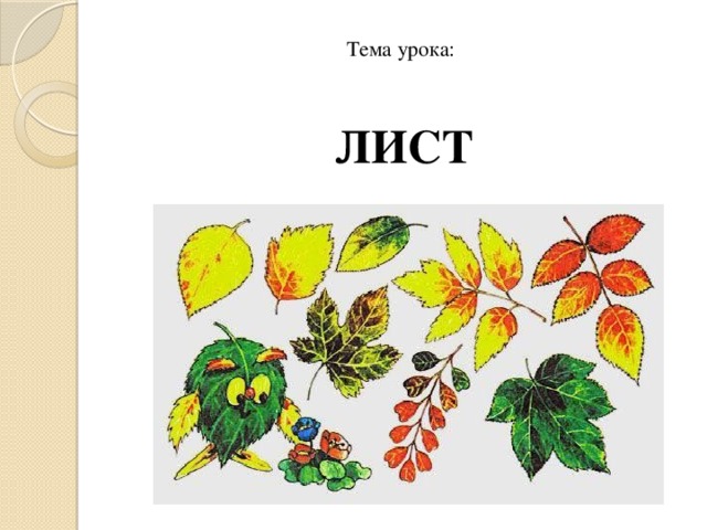 Презентация на тему листьев. Лист для темы уроков. Рисунок листа для урока биологии. Рисунки для проекта по биологии листья. Листочек тема урока дети.