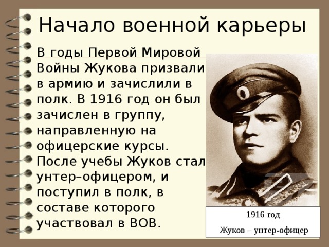 Начало военной карьеры. Жуков 1916. Жуков в 1 мировой войне. Жуков в начале войны. Военная карьера Жукова.