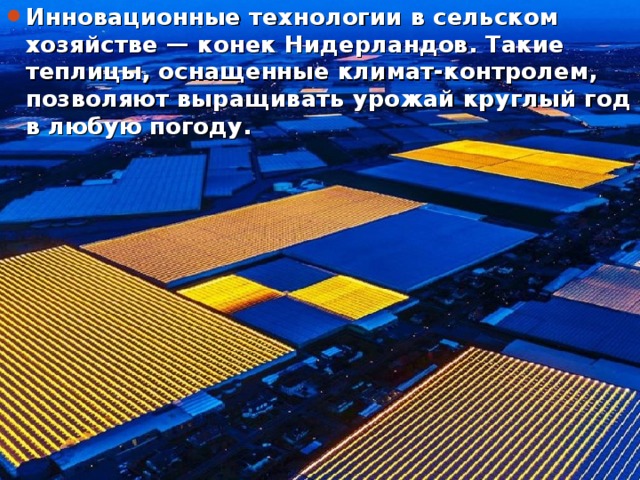 Инновационные технологии в сельском хозяйстве — конек Нидерландов. Такие теплицы, оснащенные климат-контролем, позволяют выращивать урожай круглый год в любую погоду.