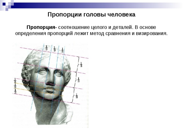 Пропорции головы человека   Пропорция - соотношение целого и деталей. В основе определения пропорций лежит метод сравнения и визирования.