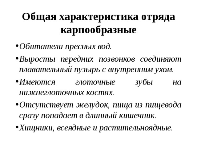 Карпообразные признаки. Признаки отряда Карпообразные. Отряд Карпообразные кратко. Характеристика отряда Карпообразные. Признаки отряда казкообразные.