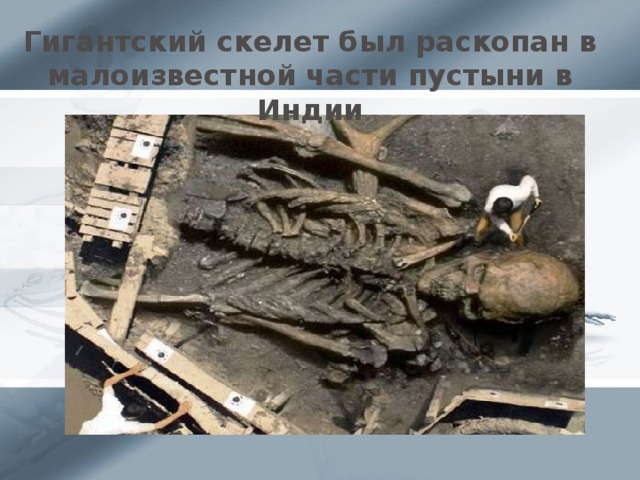Гигантский скелет был раскопан в малоизвестной части пустыни в Индии