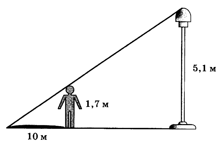 Какая длина тени человека. Измерение высоты столба. Телеграфный столб. Высота телеграфного столба. Телеграфный столб высотой 6 м.