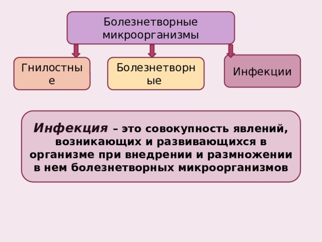 Болезнетворные микроорганизмы Инфекции Гнилостные Болезнетворные Инфекция  – это совокупность явлений, возникающих и развивающихся в организме при внедрении и размножении в нем болезнетворных микроорганизмов