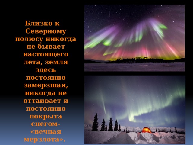 Близко к Северному полюсу никогда не бывает настоящего лета, земля здесь постоянно замерзшая, никогда не оттаивает и постоянно покрыта снегом- «вечная мерзлота».