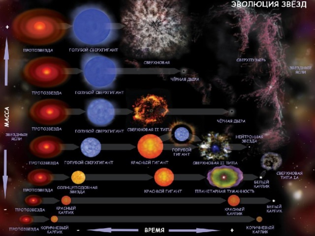 Белый карлик Новая звезда Нормальная звезда Сверхновые Сверхновые 2. 1. Ядро тяжелых звезд в конце их жизни коллапсирует. Звезда взрывается,  вещество обрушивается внутрь Белый карлик в двойной системе увеличивает массу за счет превращения другой (нормальной) звезды в красного гиганта. В итоге масса белого карлика дорастет до предельной, взрыв. ( тип звезды I а ) или Мощный взрыв, полное разрушение объекта. Повтора, как у новой звезды, не будет. Взрыв сверхновой Черная дыра Процесс перетекания вещества примерно такое же, как в системе с новой звездой