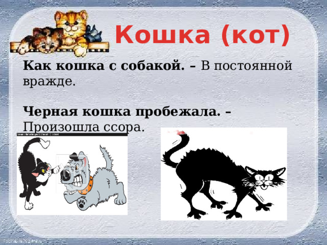 Фразеологизм кошка