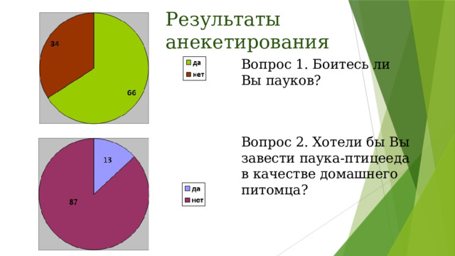 Результаты анекетирования Вопрос 1. Боитесь ли Вы пауков?  Вопрос 2. Хотели бы Вы завести паука-птицееда в качестве домашнего питомца? 