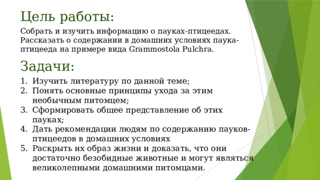 Цель работы:   Собрать и изучить информацию о пауках-птицеедах. Рассказать о содержании в домашних условиях паука-птицееда на примере вида Grammostola Pulchra. Задачи: