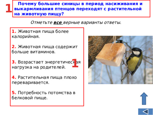 Что такое э функциональная грамотность. Фиды функциональной грамотности. Какая самая полезная птица. Сколько съест синица функциональная грамотность ответы. Функциональная грамотность тренажер.